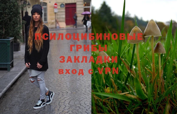 каннабис Алексеевка