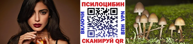 Купить закладки  Ядрин  Галлюциногенные грибы Psilocybe 